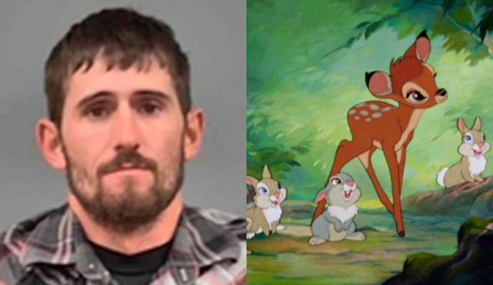No es broma: hombre que cazaba ilegalmente ciervos es condenado a ver Bambi una vez al mes