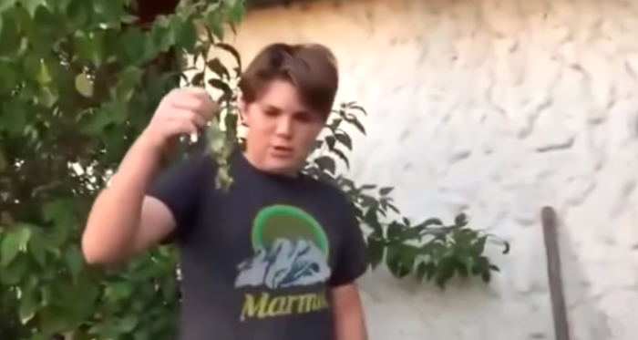 Se pelean a chimuelo: segundo abogado inscribirá marca para favorecer a familia de niño del viral