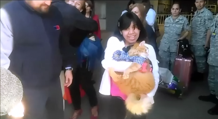 Se busca urgente a Misifus: el gato que llegó desde Venezuela para dar apoyo emocional a joven