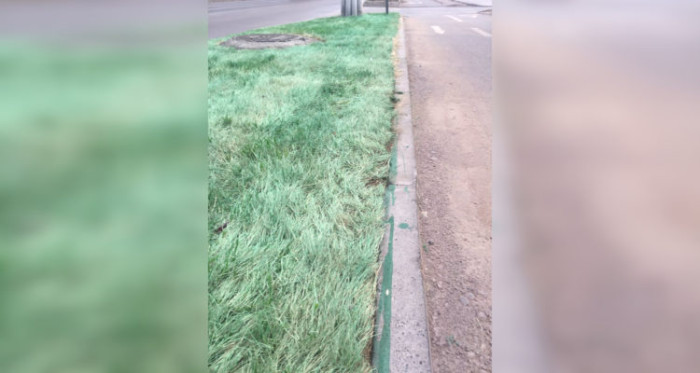 Para la risa: pasto de La Florida se secó y no encontraron mejor solución que pintarlo verde