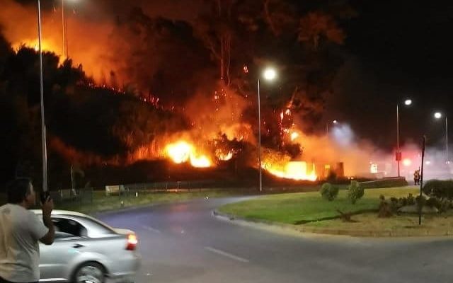 Preocupación por incendios simultáneos en 5 comunas del Bío Bío: habrían sido intencionales