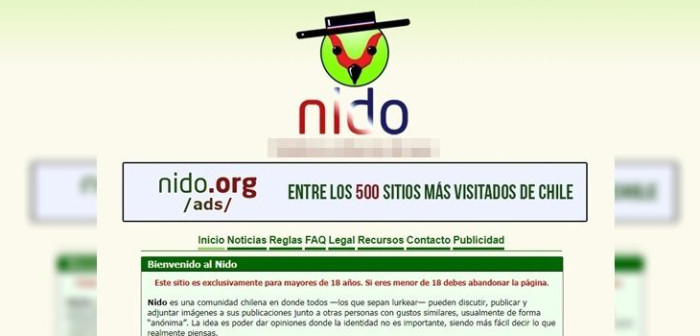 Nueve denuncias contra Nido: PDI llamó a cuidar la privacidad en redes sociales