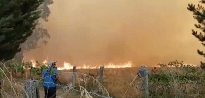 Incendio forestal en Pitrufquén: Onemi ordena evacuar el sector Loica