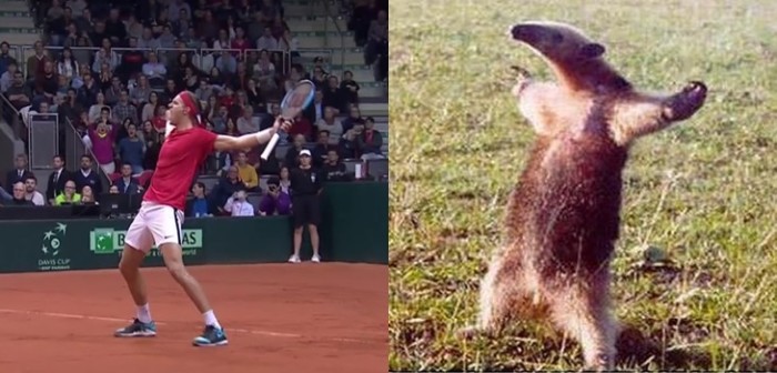 De vuelta al Grupo Mundial: los mejores memes que dejó triunfo de Chile ante Austria en Copa Davis