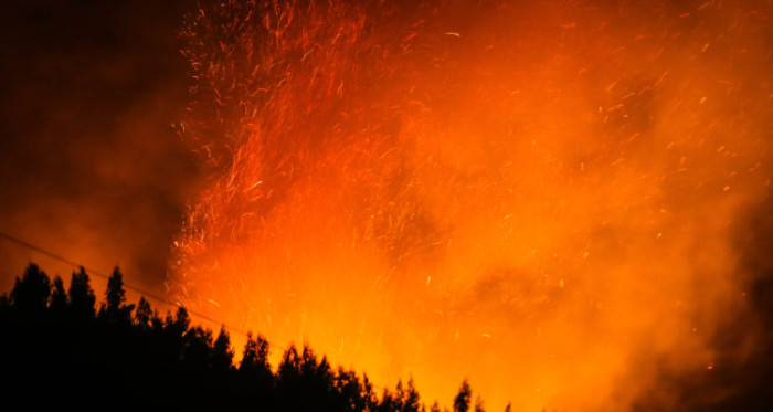 Tras incendios forestales: decretan toque de queda para comunas de provincia de Concepción