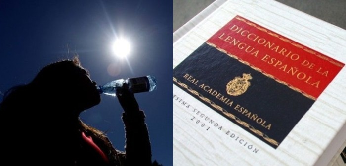 ¿El o la? RAE despeja duda histórica en Chile sobre cómo debemos referirnos a la palabra 