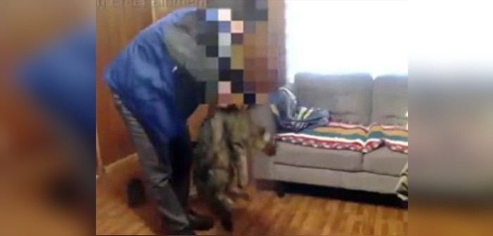 Youtuber recordado por matar a su gato a golpes es acusado de abuso sexual en Punta Arenas