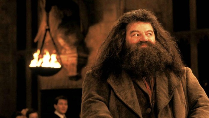 Enfermedad degenerativa dejó a “Hagrid” de Harry Potter en silla de ruedas: se someterá a cirugía