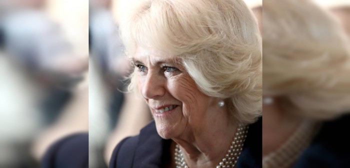Eso ya se ha visto:  Camilla Parker Bowles sorprendió usando icónica joya de Lady Di en evento real