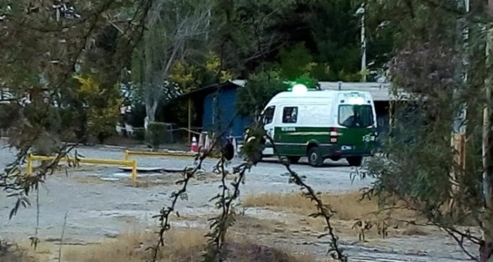 Hallan una cabeza humana al interior de empresa en Pudahuel: perros jugaban con ella