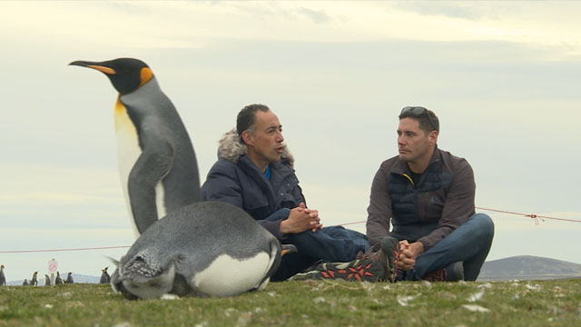 Hermosos paisajes: 'Lugares que hablan' lideró en sintonía con emotivo episodio en Islas Falkland