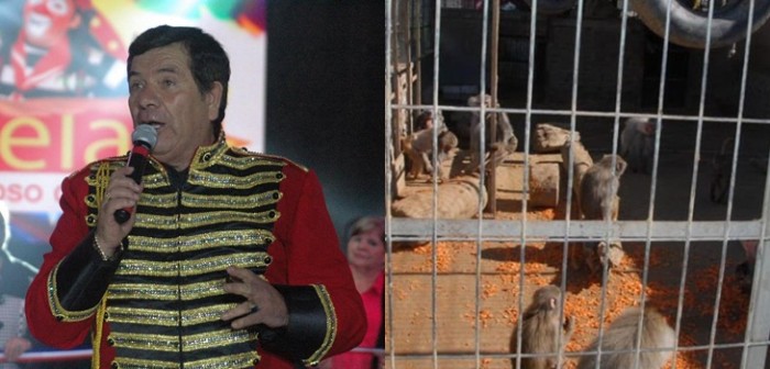 'Tachuela grande' fue condenado por el maltrato de 25 animales: sólo deberá pagar 96 mil pesos