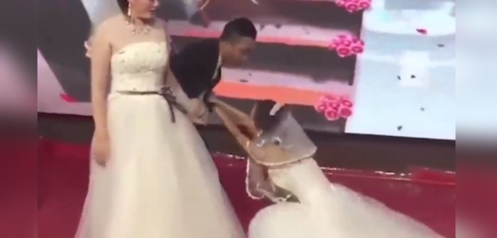 Arruinó todo: mujer irrumpió en la boda de su expareja vestida de novia para pedirle perdón