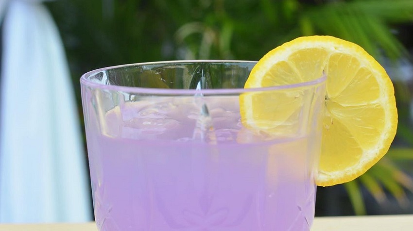 Limonada de lavanda: el brebaje que te ayudará a tratar dolores de cabeza y a conciliar el sueño