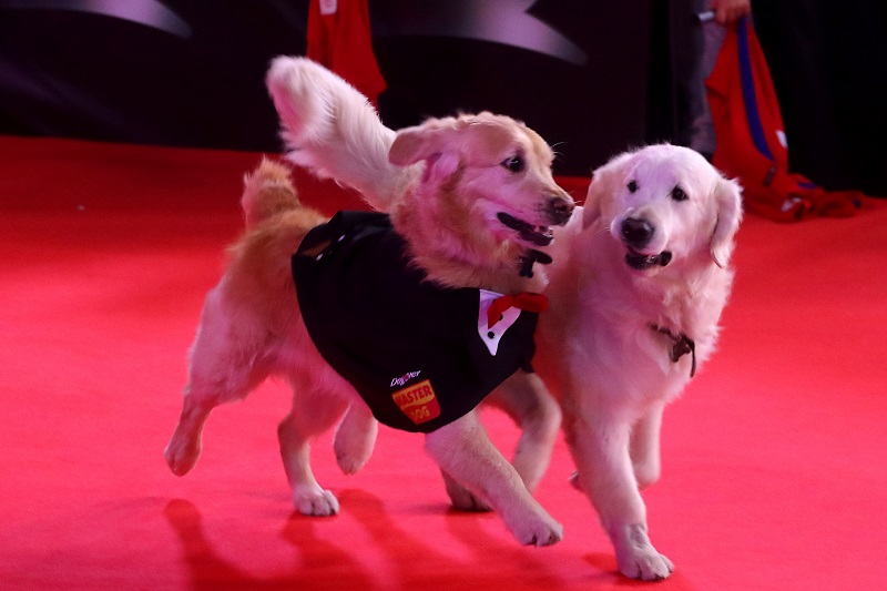 Atom y Humber en premier de 'Mi amigo Alexis'