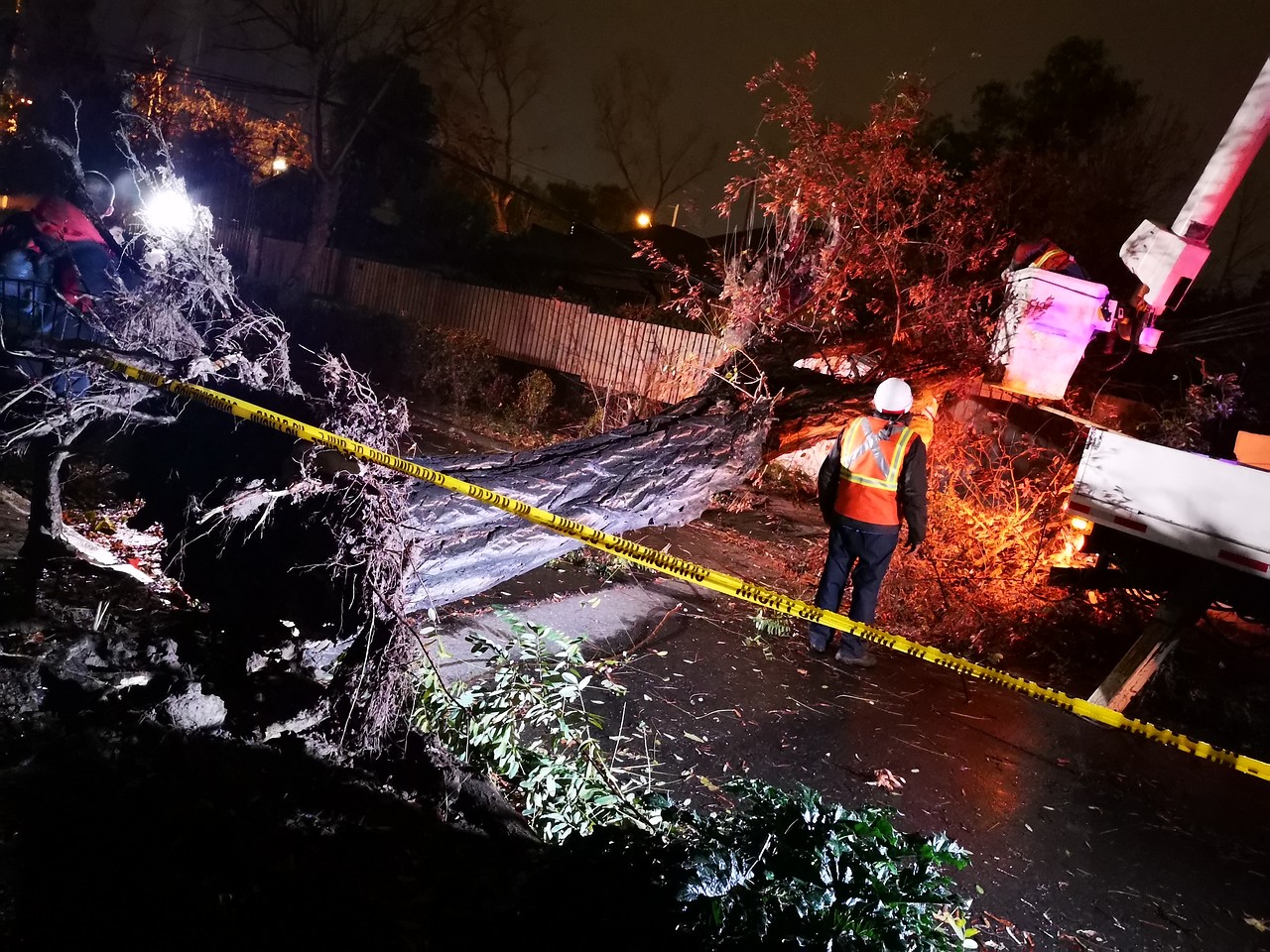 Impactante registro muestra caída de árbol sobre casas y cables de energía en La Reina