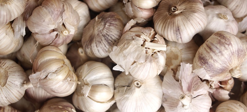 Los 'misteriosos' beneficios del ajo, el desconocido aliado de un buen rendimiento sexual