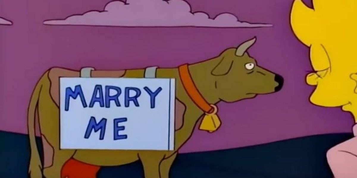 ¿Inspirado en Los Simpson? La particular propuesta de matrimonio en la que novio utilizó una vaca