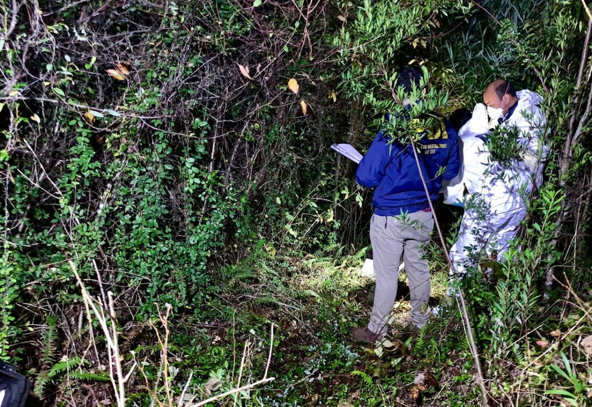 Cedida  a BioBiochile