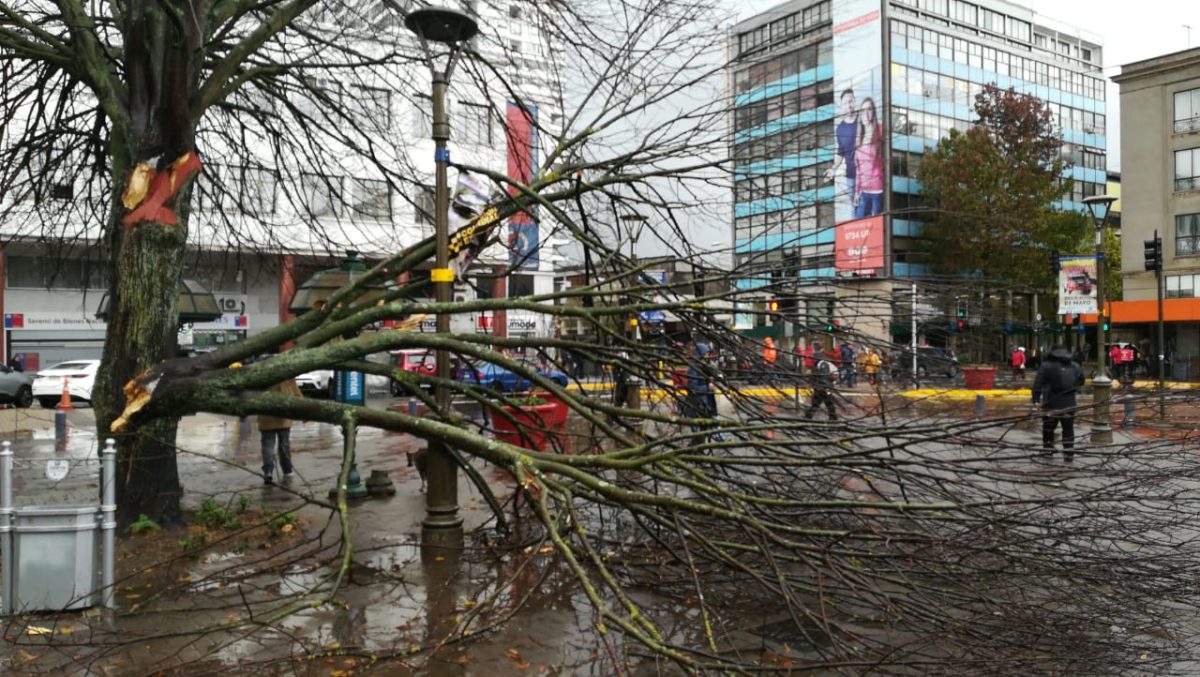 Meteorología lanza alarma para Región del Ñuble: tormenta se dirige a Chillán y localidades aledañas