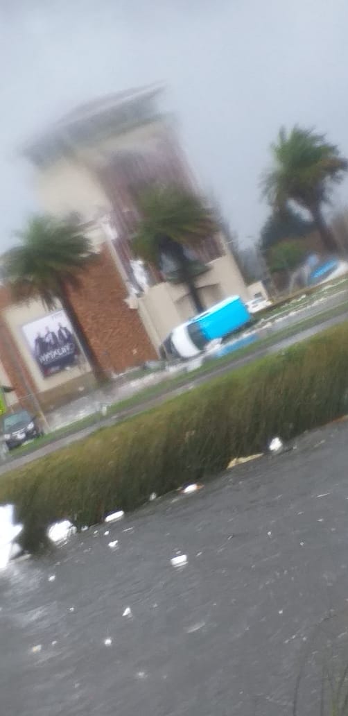 tombra marina en Talachuano