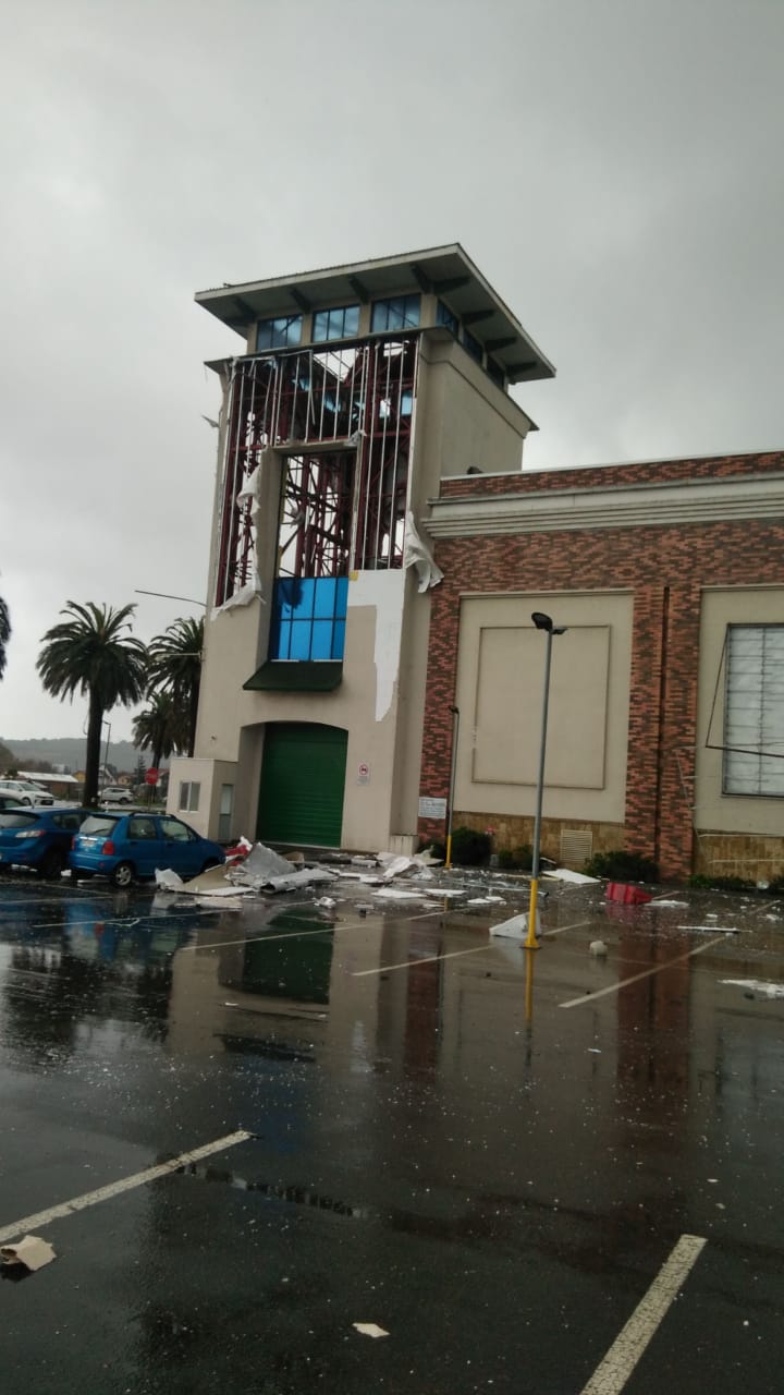 tombra marina en Talachuano