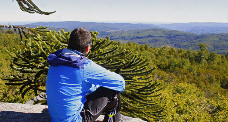 Conaf aseguró que hay déficit de 1.500 guardaparques: sueldo podría ascender hasta los $1,3 millones