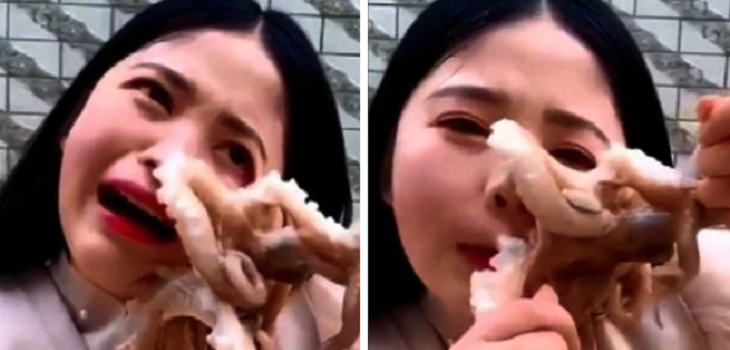 Bloguera china vivió segundos de terror mientras intentaba comerse un pulpo vivo