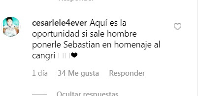 seguidores perla ilich