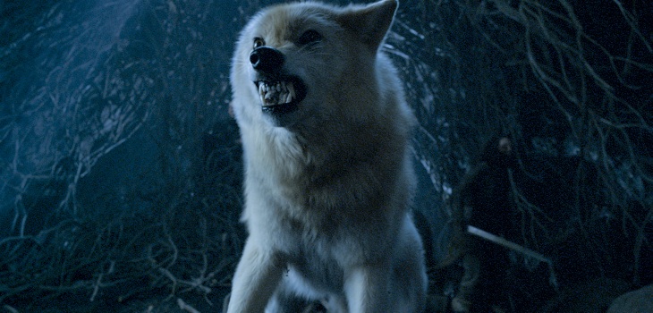 ghost lobo huargo de game of thrones