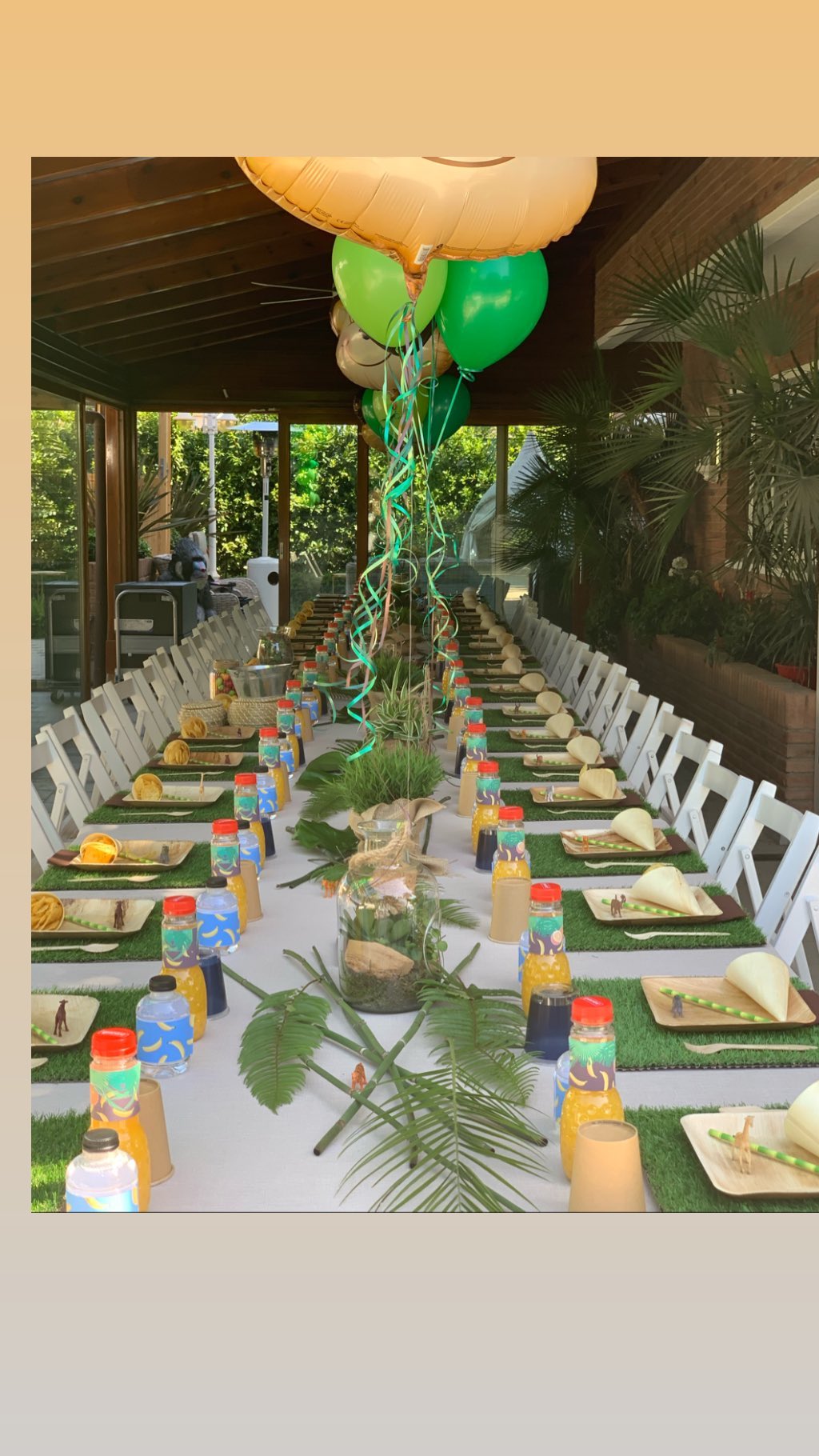 Cumpleaños Monito Vidal