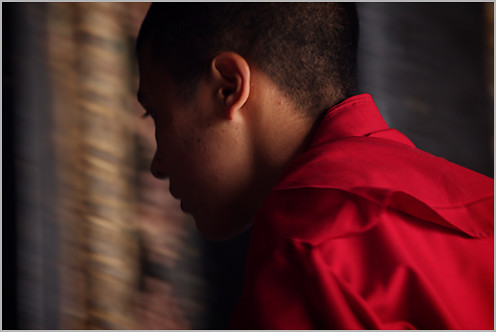 Hombre acudió al médico por extraño zumbido y dolor en su oído: hallaron una araña