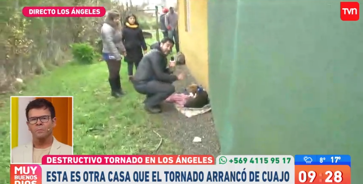 Perro afectado por tornado