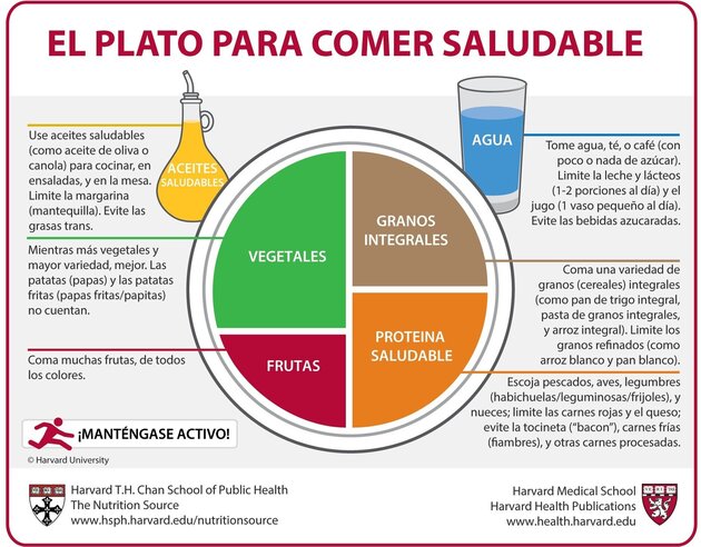 plato de harvard sobre la pirámide alimenticia