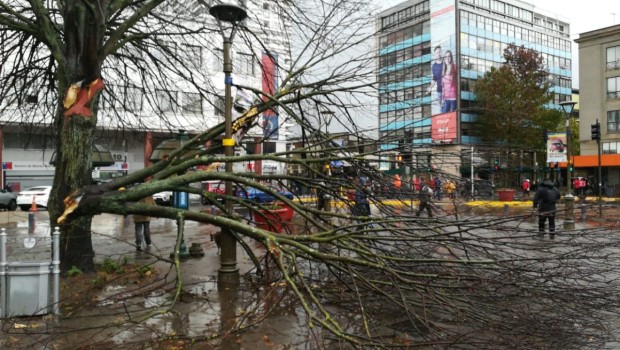 ¿A qué se debe la frecuencia de tornados en la Región del Bío Bío?