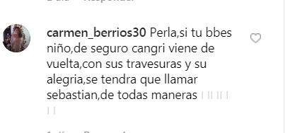 seguidores de perla ilich