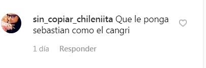 seguidores de perla ilich