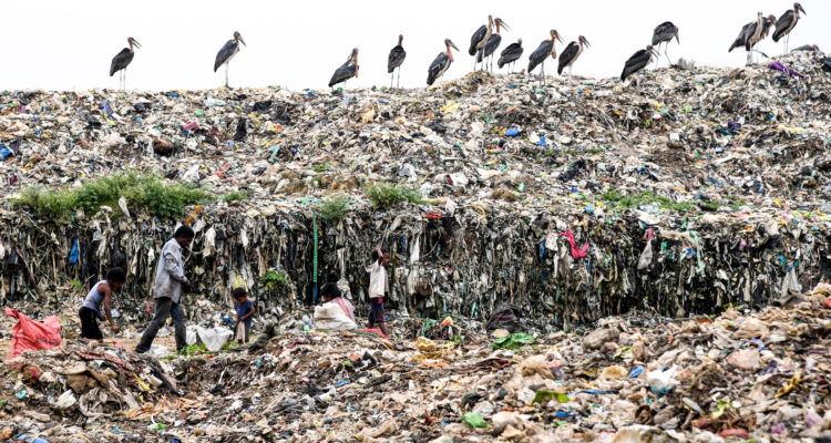 La montaña de basura en India que es casi tan alta como el Taj Mahal: está enfermando a la población