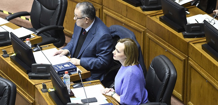 Carolina Goic pidió un minuto de silencio en el Senado por muerte de Javiera Suárez