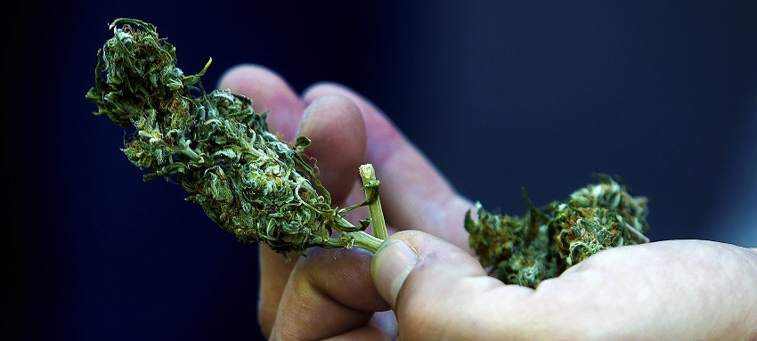 Hombre que compró marihuana en Irlanda denunció al vendedor por inesperada razón