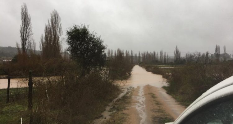 Hombre murió tras caer a estero desbordado en Yumbel: perdió el equilibrio cuando intentaba cruzarlo