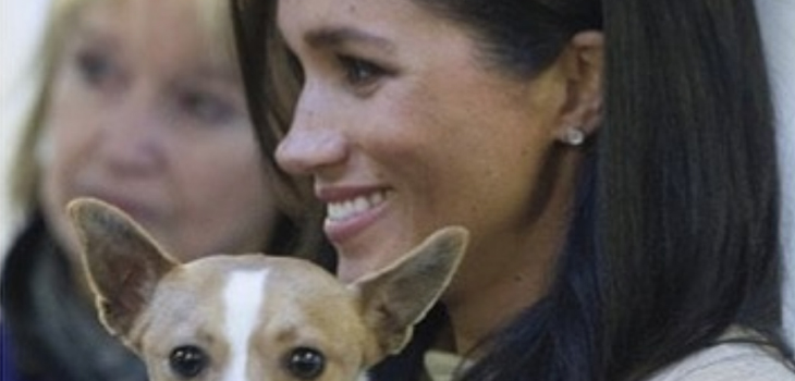 Meghan Markle y su poderoso mensaje a favor de la adopción de perros: “Te cambiará la vida”