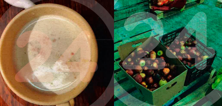 Leche con sustancias oscuras: revelan estado de alimentos entregados a recintos Junaeb y Junji