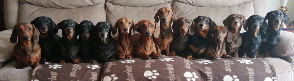 Liam Beach | Facebook