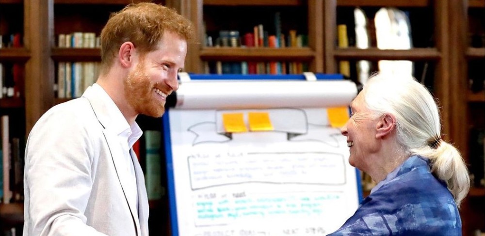 Príncipe Harry se salió del protocolo y protagonizó tierno 