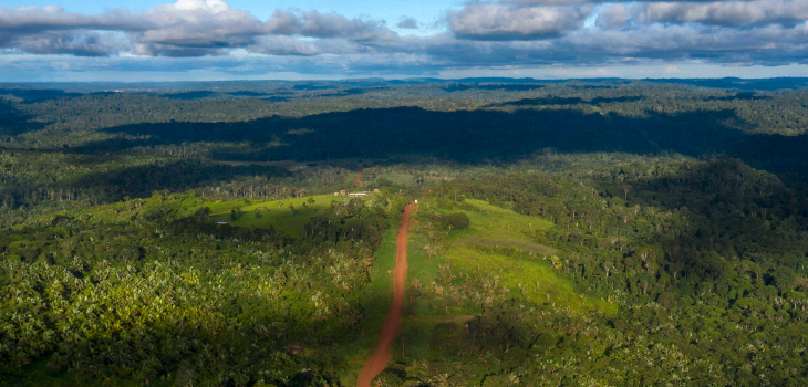 ¿Conoces el Amazonas?: cinco características del pulmón del planeta que hoy está en riesgo