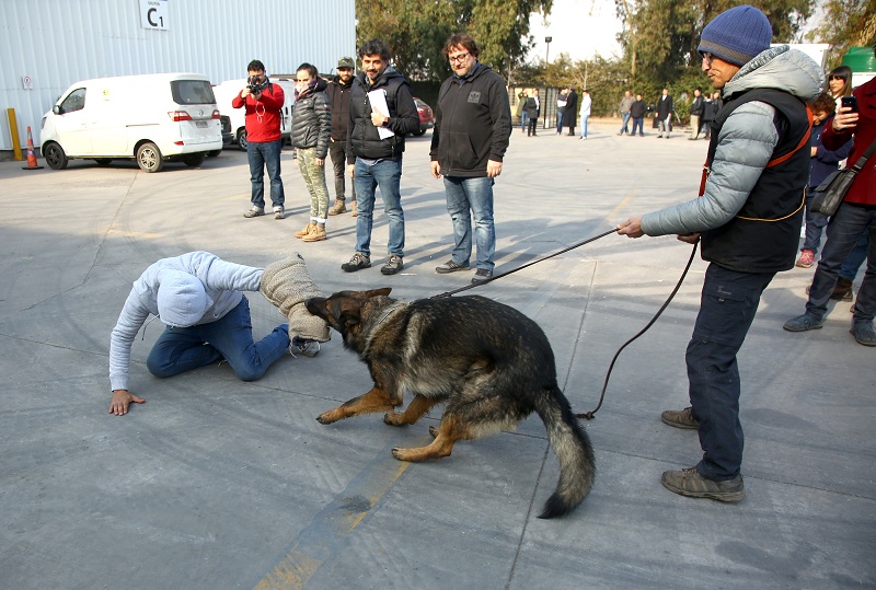 La escena de Juegos de Poder que contó con perros adiestrados