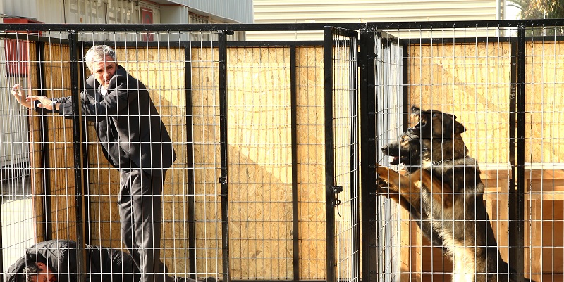 Con perros adiestrados y jaula especial: así se grabó la fuerte escena de Matías en Juegos de Poder