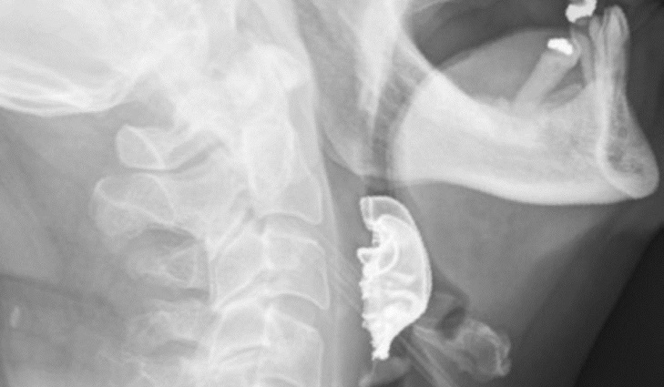 British Medical Journal 