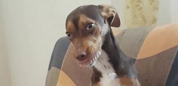 Facebook | Anna Carolina Lima